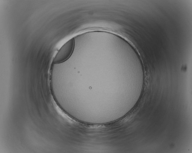 X0000114641535200911101247