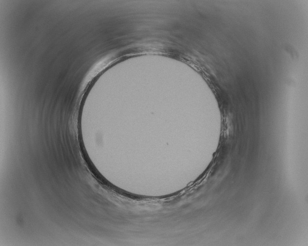 X0000114640004200911171039
