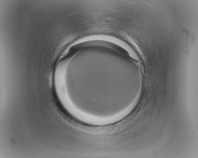 X0000114640019200911171039