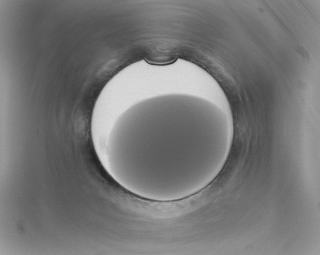 X0000114640031200911171039