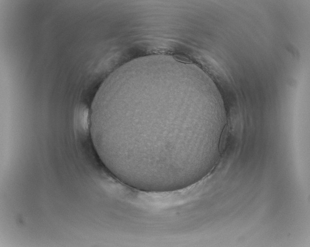 X0000114640041200911171039