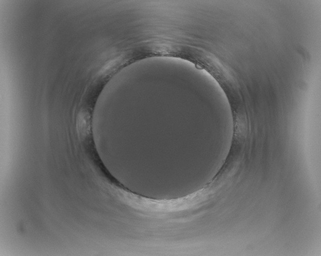 X0000114640043200911171039