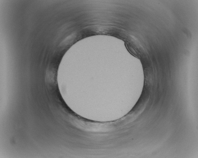 X0000114640044200911171039
