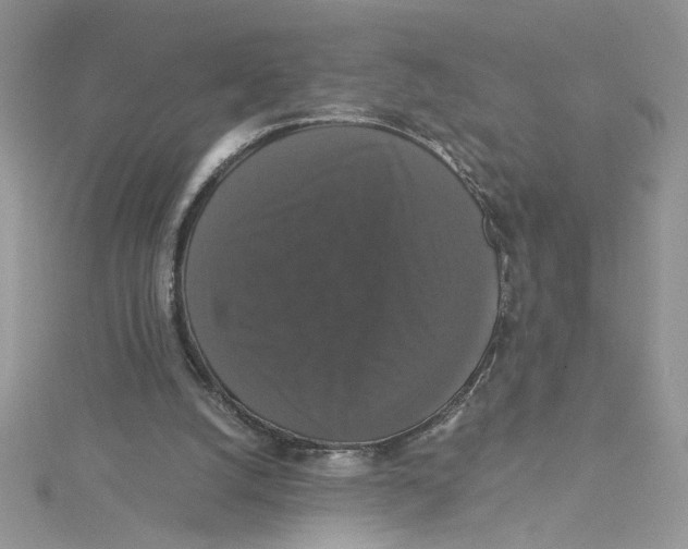 X0000114640056200911171038