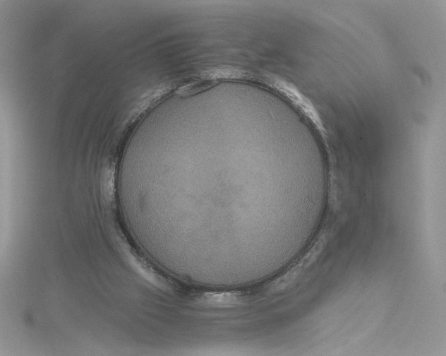 X0000114640057200911171038