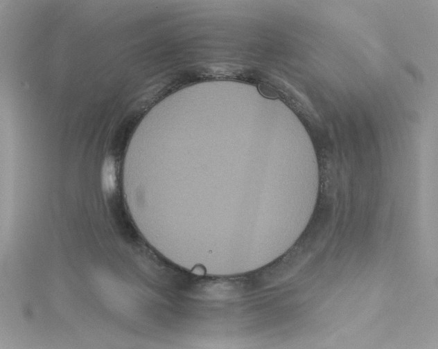 X0000114640075200911171038