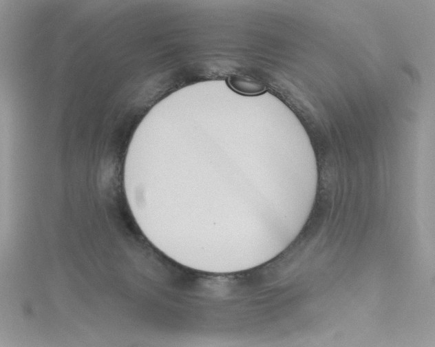 X0000114640079200911171038