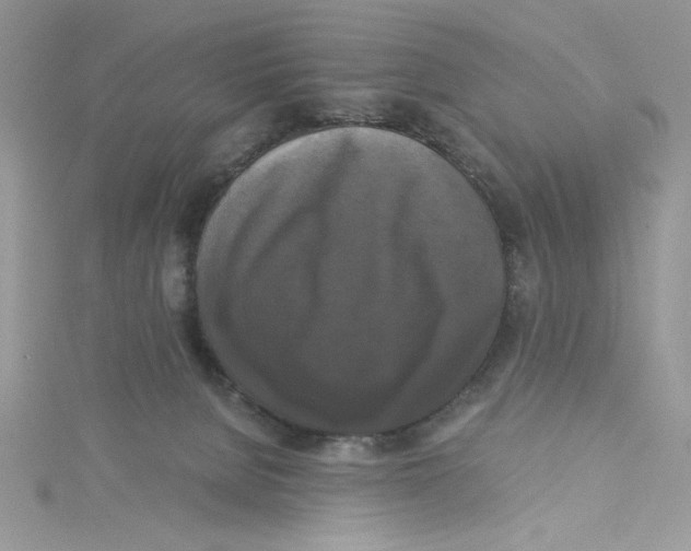 X0000114640080200911171038