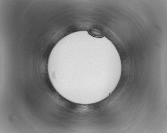 X0000114640083200911171039