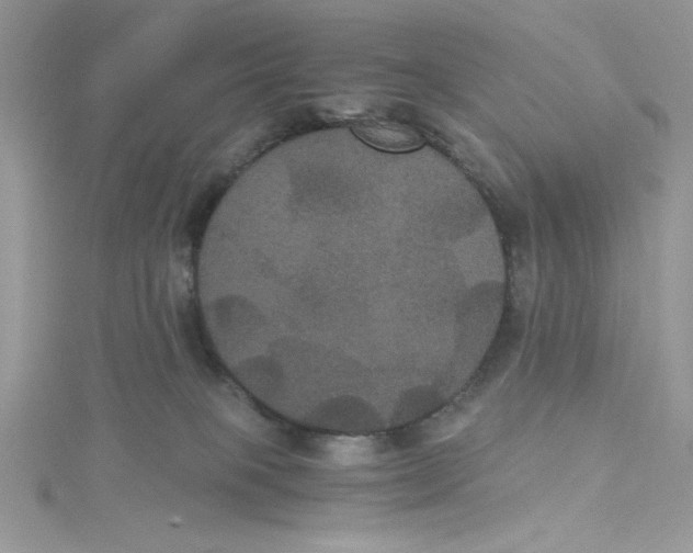 X0000114640085200911171039