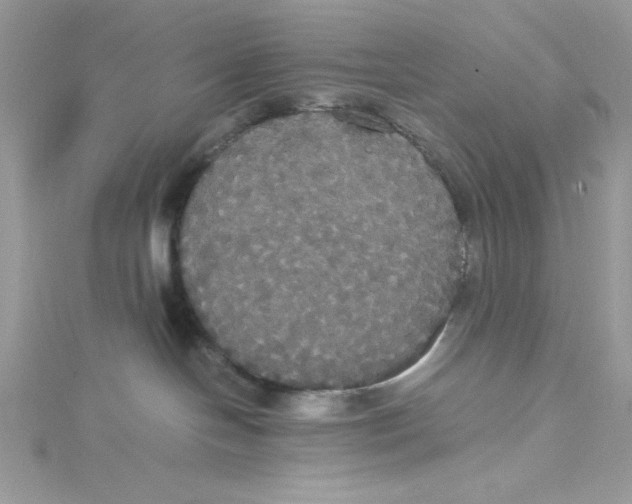 X0000114640094200911171039