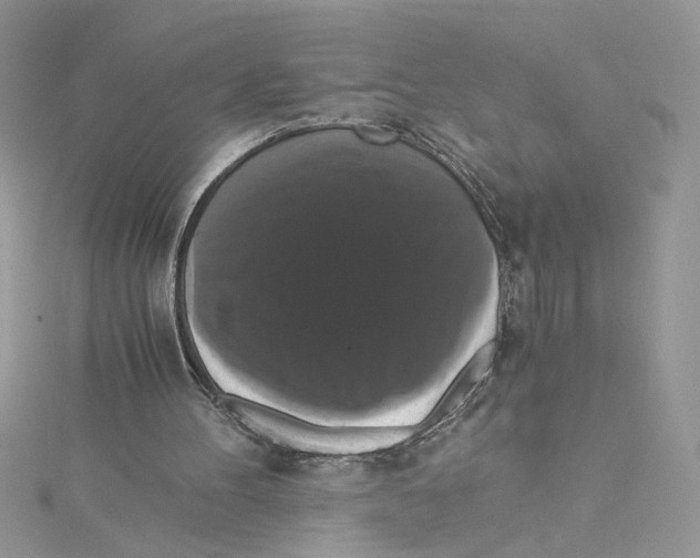 X0000114640100200911171038