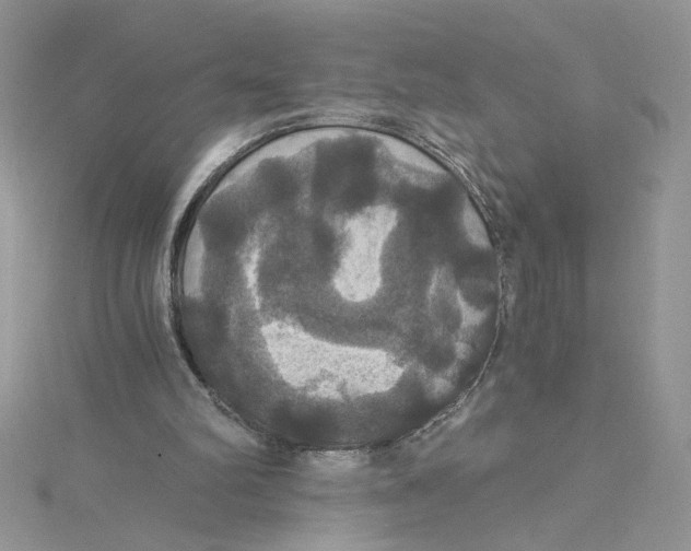 X0000114640102200911171038
