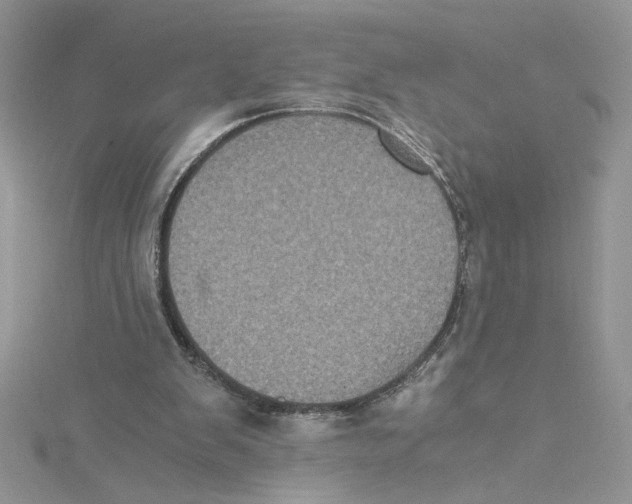X0000114640103200911171038