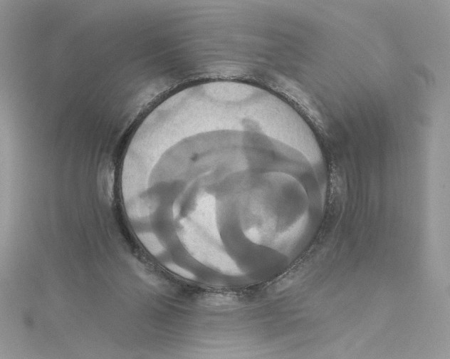 X0000114640110200911171038