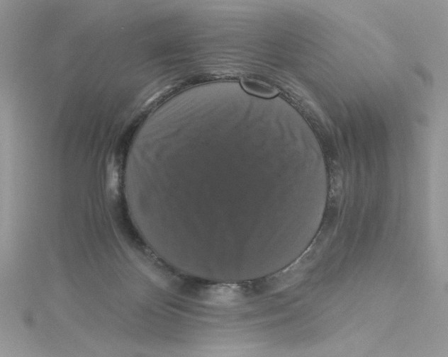 X0000114640124200911171038