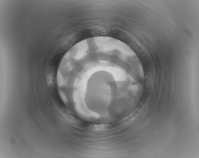 X0000114640134200911171038