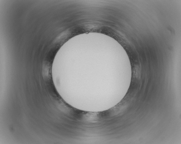 X0000114640138200911171038