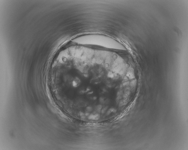 X0000114640145200911171037