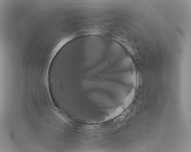 X0000114640147200911171037
