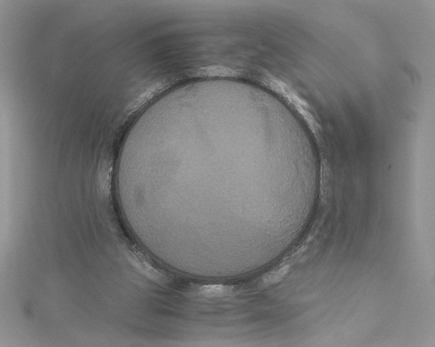 X0000114640153200911171037