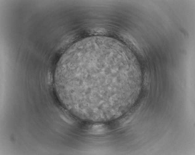 X0000114640173200911171037
