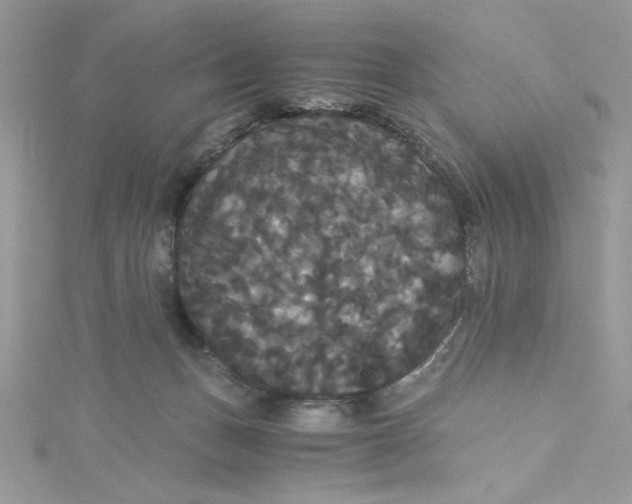 X0000114640175200911171037
