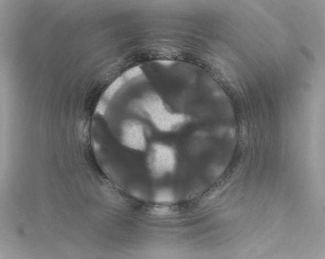 X0000114640177200911171037