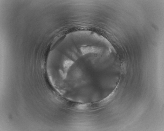 X0000114640178200911171037
