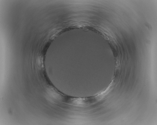 X0000114640182200911171037