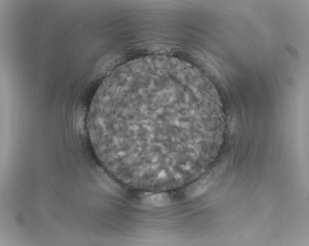 X0000114640185200911171037