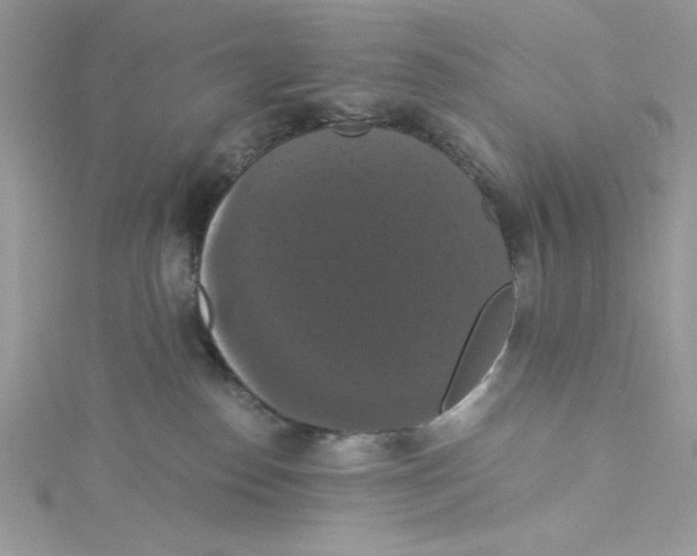X0000114640186200911171037