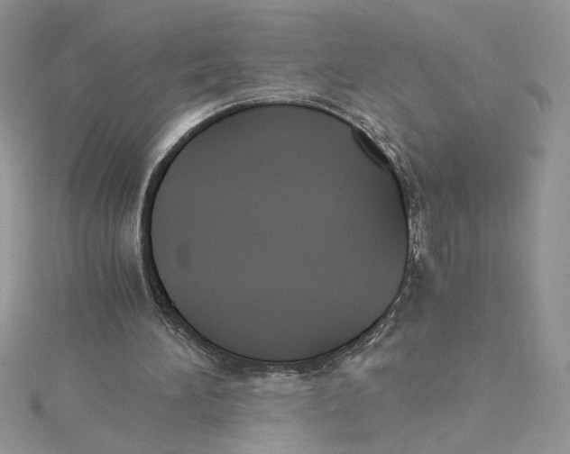 X0000114640196200911171037