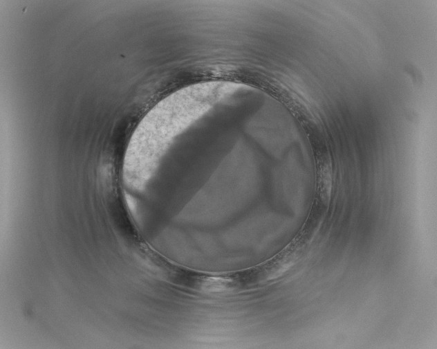 X0000114640222200911171036
