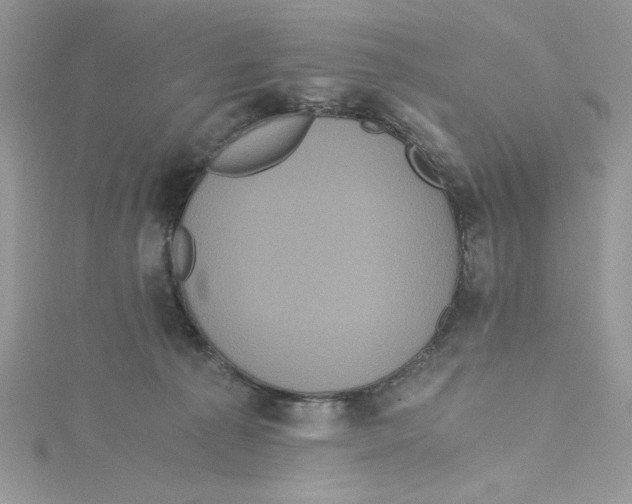X0000114640225200911171036