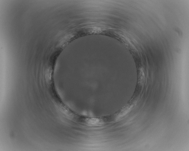 X0000114640230200911171036