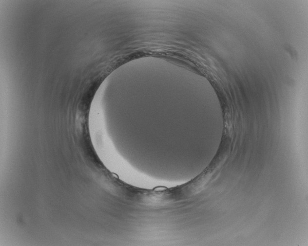 X0000114640235200911171036