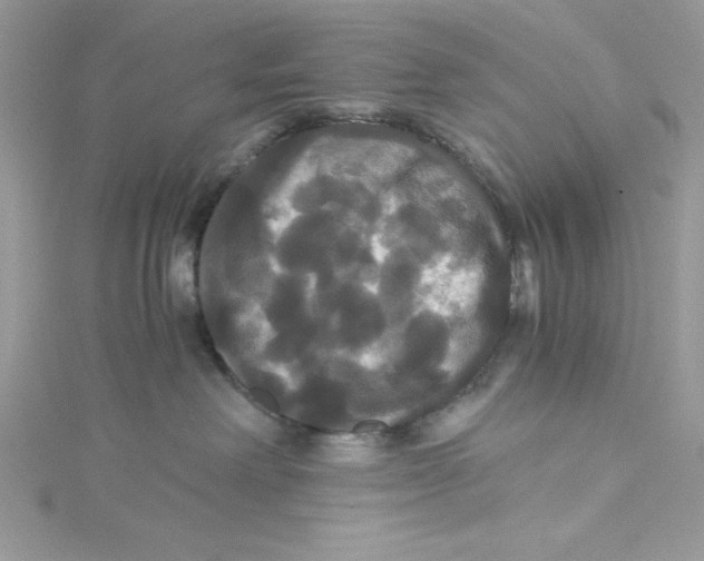 X0000114640238200911171036