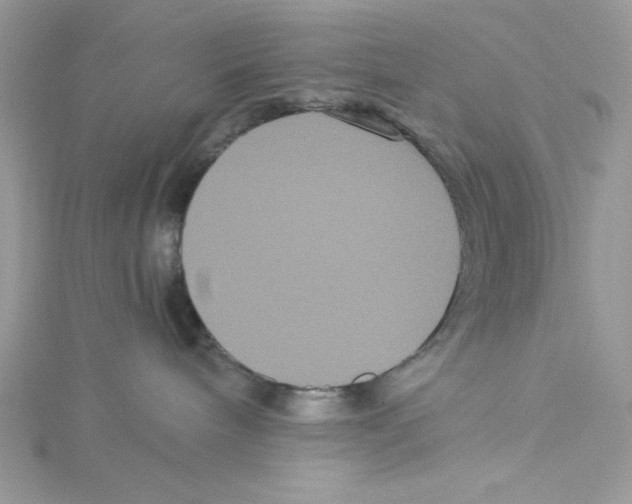 X0000114640240200911171036