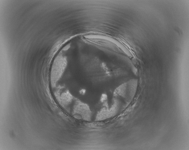 X0000114640241200911171036