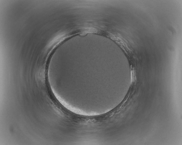 X0000114640243200911171036