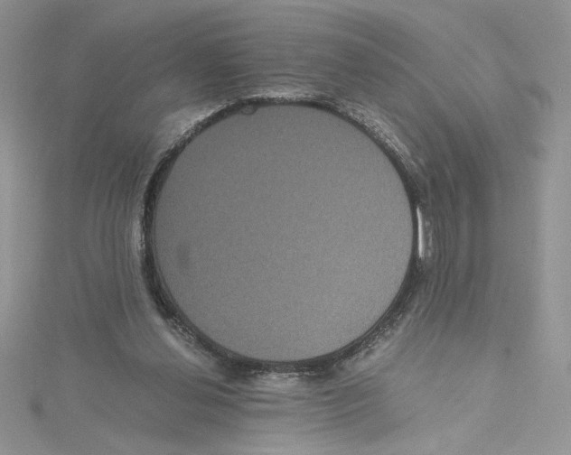 X0000114640252200911171036