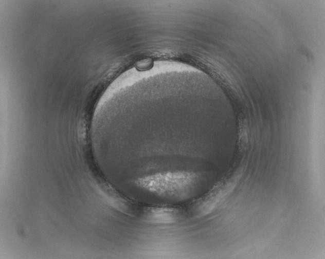 X0000114640268200911171036