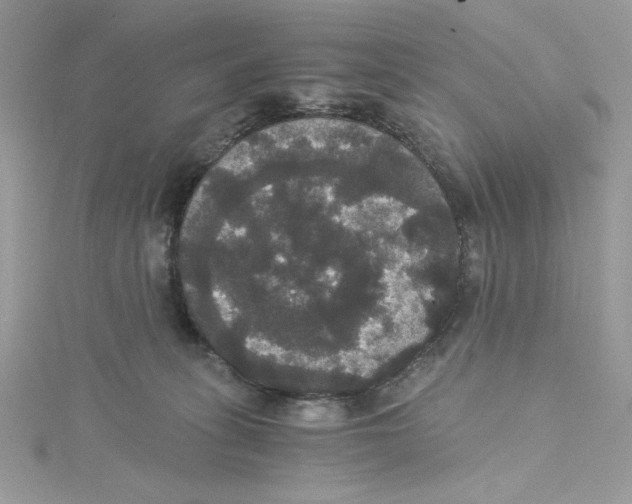 X0000114640275200911171036