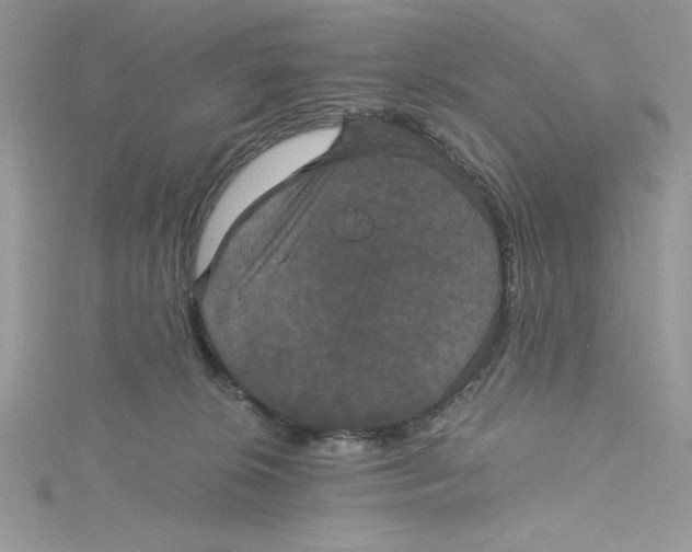 X0000114640276200911171036