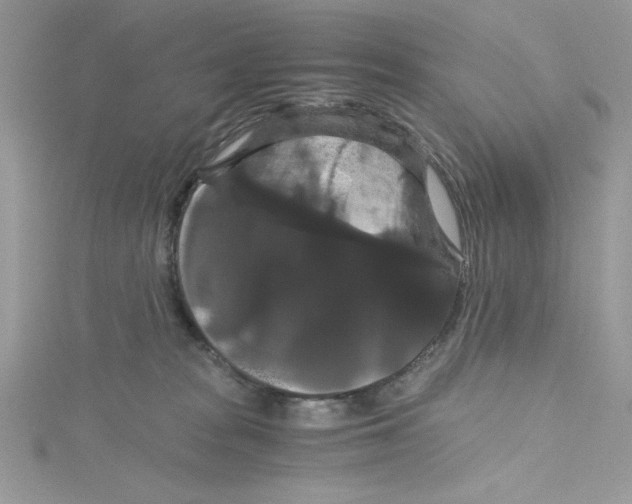 X0000114640277200911171036
