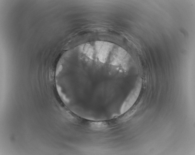 X0000114640281200911171036