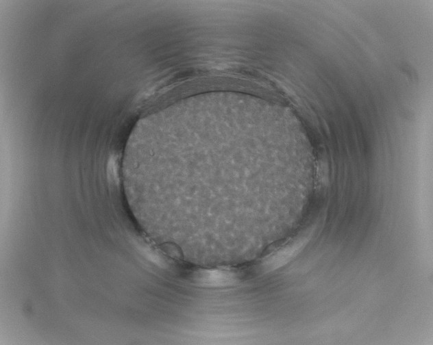 X0000114640286200911171036