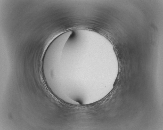 X0000114640289200911171036
