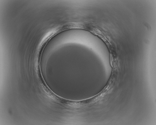 X0000114640293200911171036